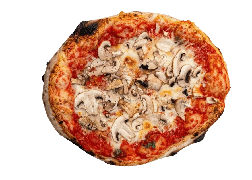 Pizza Funghi